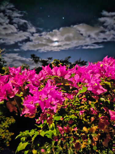 Send your best photos from Maui County to mauiphotos@mauinews.com for a chance to see them featured on our website and in our weekly print edition.